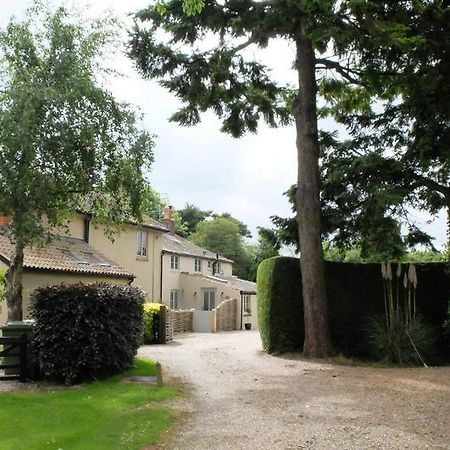 Pippin Heath House B&B 홀트 외부 사진