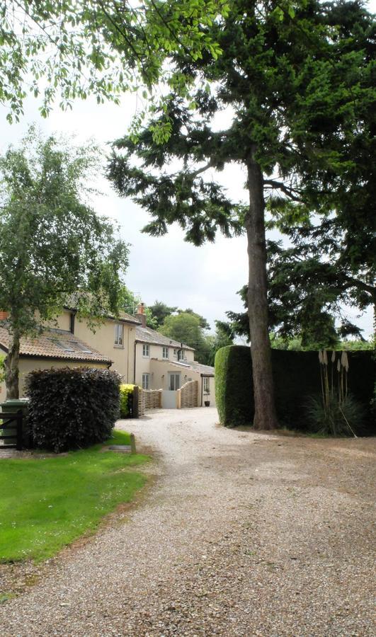 Pippin Heath House B&B 홀트 외부 사진
